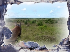 Heide2